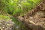 7523 County Road 163 - Photo 11