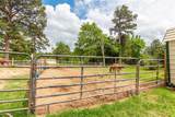 10775 County Road 214 - Photo 35