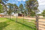 10775 County Road 214 - Photo 36