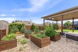 310 Desert Sky Drive - Photo 28