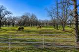 168 Country Drive - Photo 6