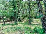 12264 County Road 404 - Photo 37