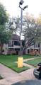 2300 Balsam Drive - Photo 19