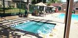 2300 Balsam Drive - Photo 20