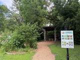 1534 Petaluma Drive - Photo 36