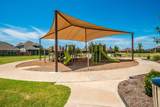 505 Livia Street - Photo 34