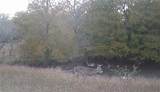 1690 County Road 530 - Photo 26