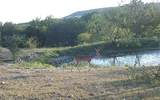 1690 County Road 530 - Photo 27