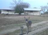 1690 County Road 530 - Photo 5