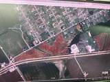 10816 County Road 501 - Photo 1