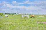 5660 Upper Denton Road - Photo 6