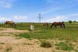 160 Aledo Ridge Road - Photo 40