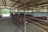 3900 County Road 304A - Photo 28