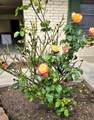 105 3rd Street - Photo 8