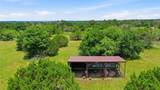 927 Prickly Pear Trail - Photo 36