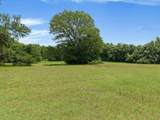 850 Newt Patterson Road - Photo 4