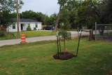 1517 Travis Street - Photo 11