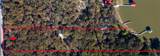 13030 Miller Road - Photo 15