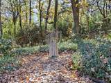 13030 Miller Road - Photo 17