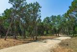 0000 Jim Bridger Drive - Photo 12
