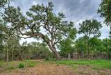 0000 Jim Bridger Drive - Photo 24