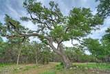 0000 Jim Bridger Drive - Photo 25