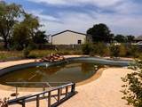 1823 County Road 596 - Photo 37