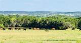 660 Fm 203 - Photo 18
