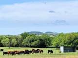 660 Fm 203 - Photo 4
