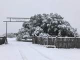 660 Fm 203 - Photo 9