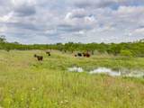 1053 Fm 503 - Photo 35