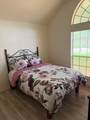 3012 Red Oak Drive - Photo 38