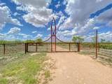 14867 County Road 407 - Photo 40