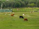 132 County Road 267 - Photo 22