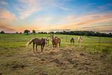 132 County Road 267 - Photo 8