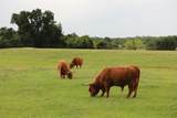 132 County Road 267 - Photo 9