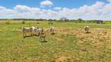 1359 County Road 195 - Photo 16