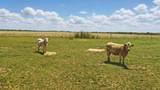 1359 County Road 195 - Photo 19