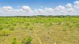1359 County Road 195 - Photo 8
