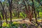 16240 Cowan Road - Photo 32