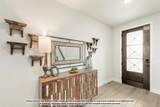 1040 Snowy Owl Drive - Photo 3