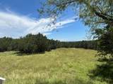 715 County Road 426 - Photo 11