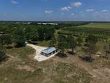 1316 Titus Street - Photo 25