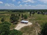 1316 Titus Street - Photo 29