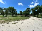 1316 Titus Street - Photo 36