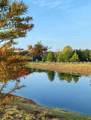 9826 Canebrake Lane - Photo 25
