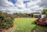 307 County Road 148 - Photo 18