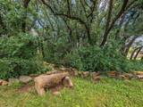 7116 Monaghan Drive - Photo 18