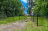 10307 Pirogue Road - Photo 1