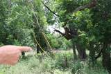 000 County Road 282 - Photo 1